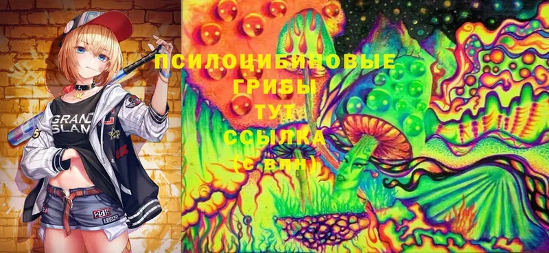 MEGA онион  купить закладку  Сосновка  Псилоцибиновые грибы Psilocybine cubensis 